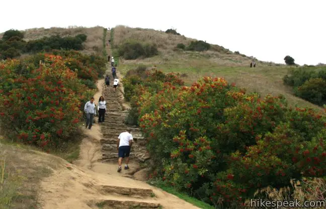 Baldwin Hills Scenic Overlook Staircase