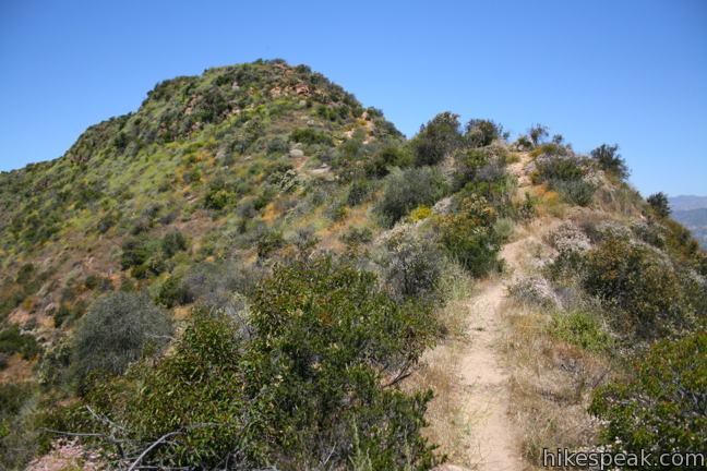 Cahuenga Peak Hike