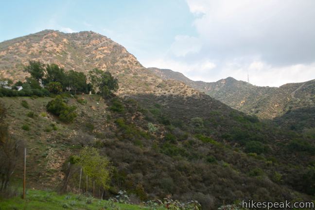 Cahuenga Peak And Mount Lee Via Burbank Peak Trail And Aileen Getty Ridge  Trail In Griffith Park