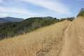 Calabasas Peak Motorway