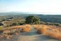 Canyonback Ridge Trail