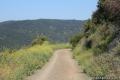 Canyonback Ridge Trail