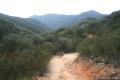 Upper Solstice Canyon