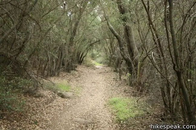 Backbone Trail Upper Solstice Canyon