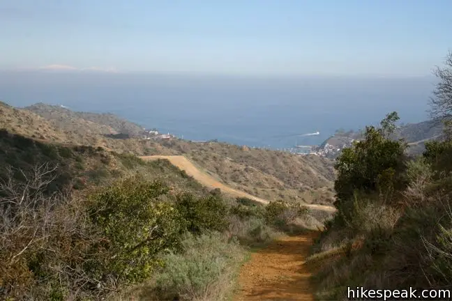 Catalina Island Hike