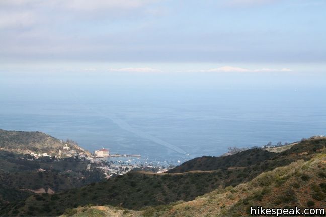 Catalina Island Hike