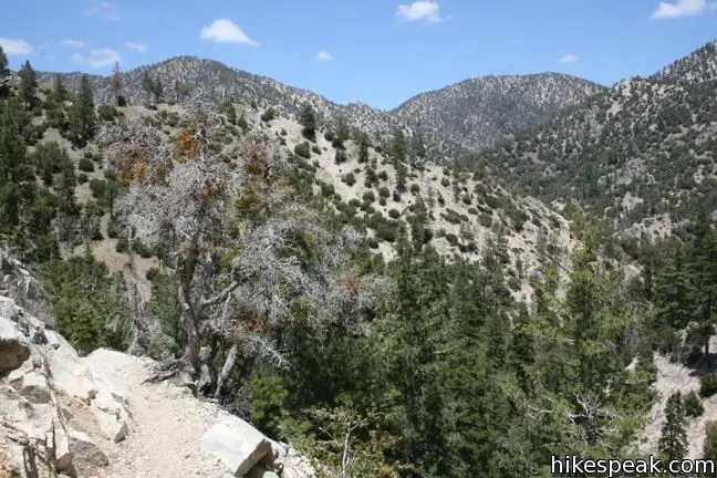 Buckhorn Cooper Canyon