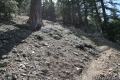 Cooper Canyon