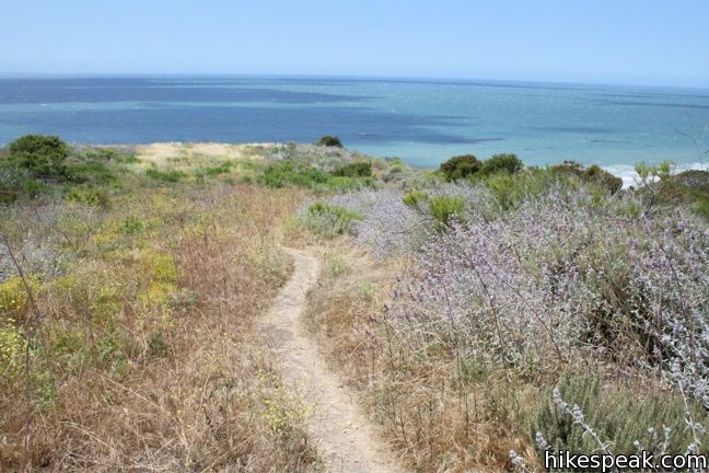 This 2.5-mile loop offers ocean and canyon views from a unspoiled section of the Santa Monica Mountains in Malibu.