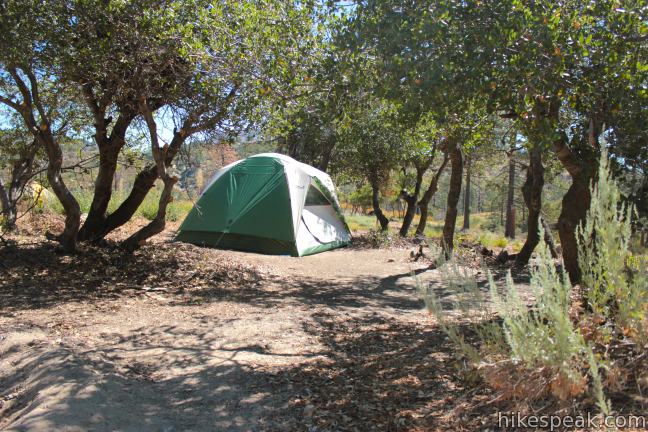 Coulter Group Campground