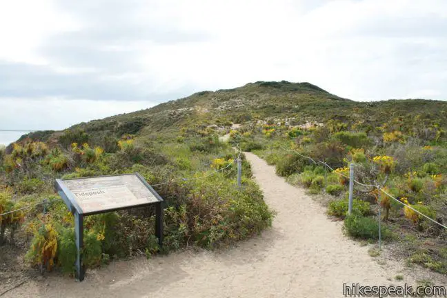 Zuma Beach to Point Dume - LA walks - A walk and a lark