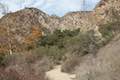 Eaton Canyon Trail