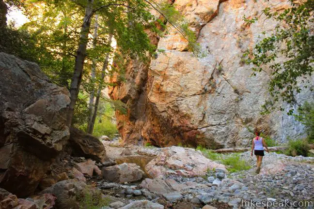 This 10-mile hike explores an enchanting narrow canyon on the east side of the Angeles National Forest in the Sierra Pelona Mountains north of Santa Clarita.