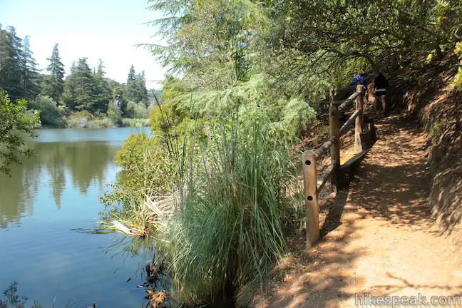 Franklin Canyon Lake Trail