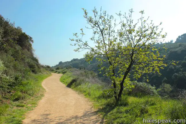 Franklin Canyon Park Hastain Trail