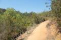 Franklin Canyon Park Ranch Trail