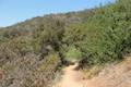 Franklin Canyon Park Ranch Trail