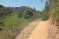 Franklin Canyon Park Ranch Trail