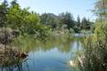 Franklin Canyon Lake Loop Trail