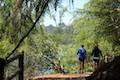 Franklin Canyon Lake Loop Trail