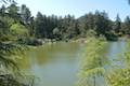 Franklin Canyon Lake Loop Trail