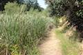 Franklin Canyon Lake Loop Trail