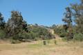 Franklin Canyon Park Chaparral Trail