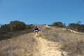 Franklin Canyon Park Chaparral Trail