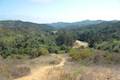 Franklin Canyon Park Chaparral Trail