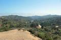 Franklin Canyon Park Chaparral Trail