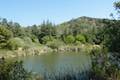 Franklin Canyon Lake