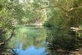 Franklin Canyon Park Heavenly Pond