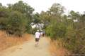 Fryman Canyon Loop