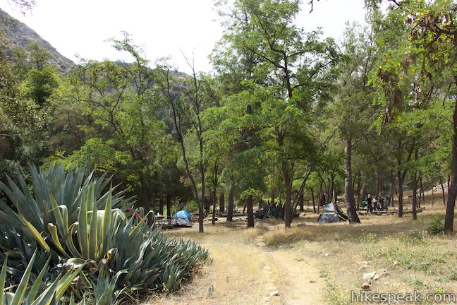 Gould Mesa Trail Camp