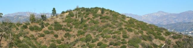 Beacon Hill Trail hike Griffith Park Los Angeles California Hollywood