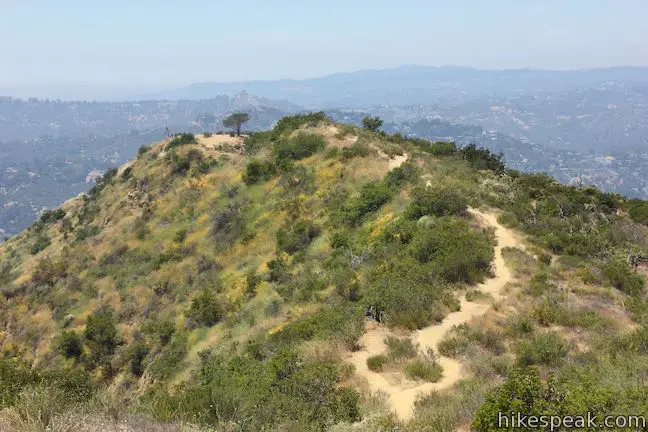 Aileen Getty Ridge Trail Burbank Peak