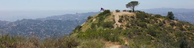 Burbank Peak Hike Wisdom Tree Hike Griffith Park Hollywood Burbank Peak Trail Wonderview Drive Los Angeles