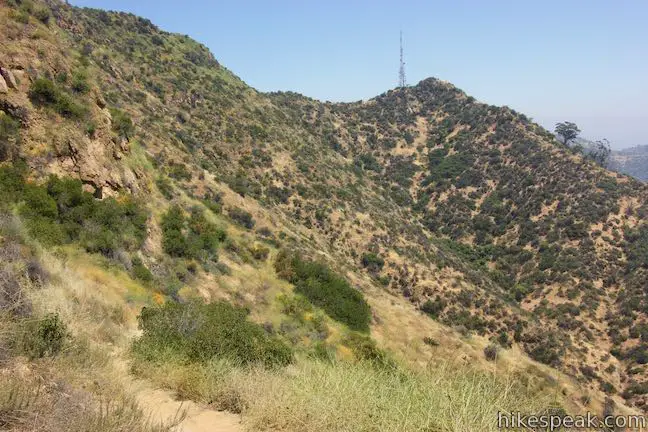 Burbank Peak Trail