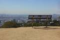 Griffith Park Bench