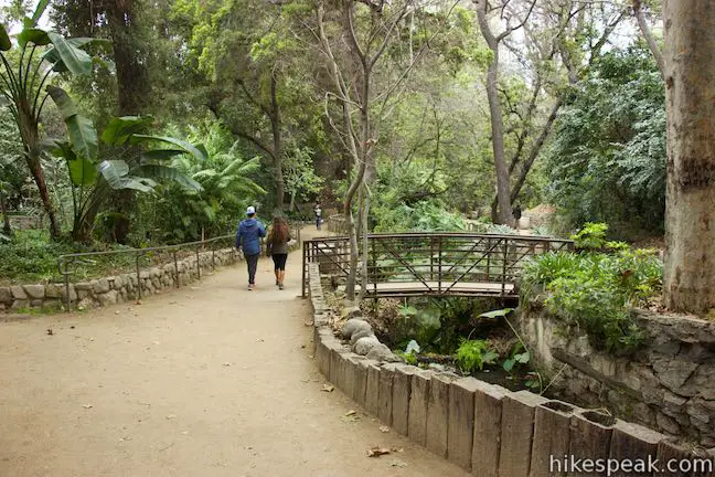 Griffith Park Ferndell Trail