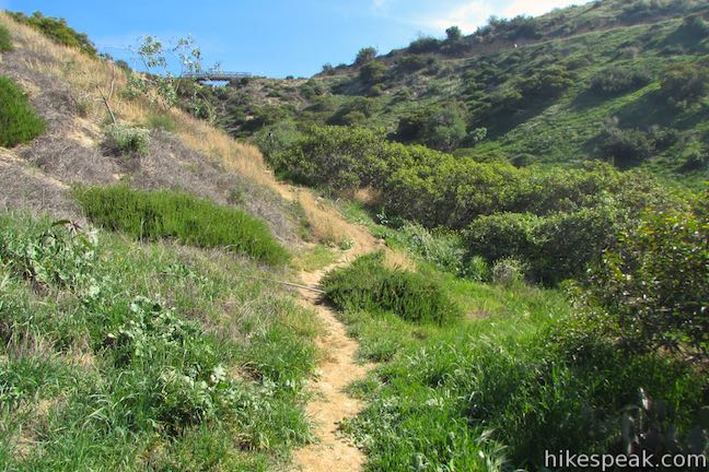 Aberdeen Trail Griffith Park