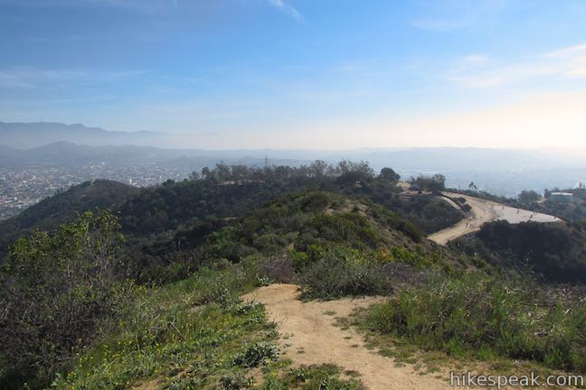 Griffith Park Glendale Peak