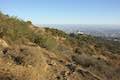 Mount Hollywood Trail