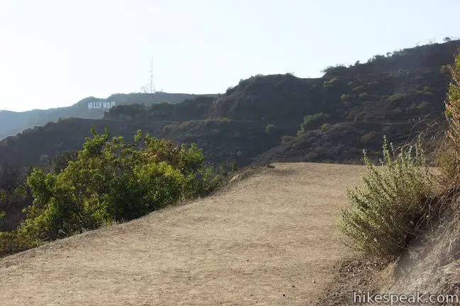 Griffith Observatory to Hollywood Sign Hike