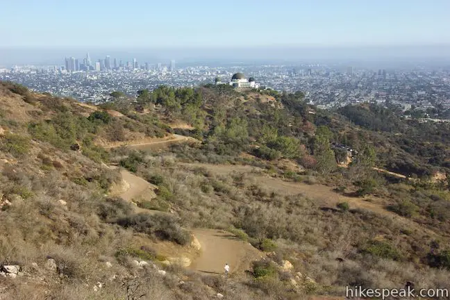 Mount Hollywood Hiking Trail