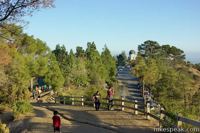 Mount Hollywood Hiking Trail