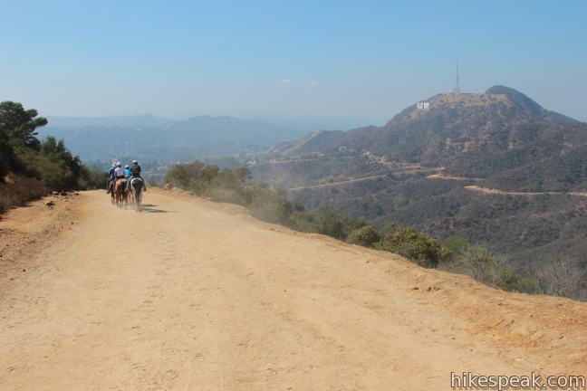 Mount Hollywood Griffith Park