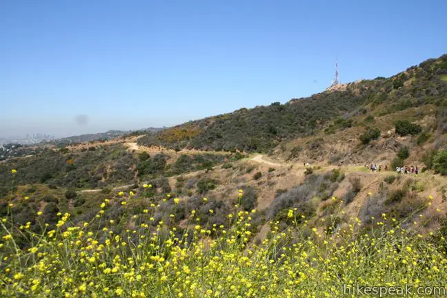 Hollywood Sign Hike