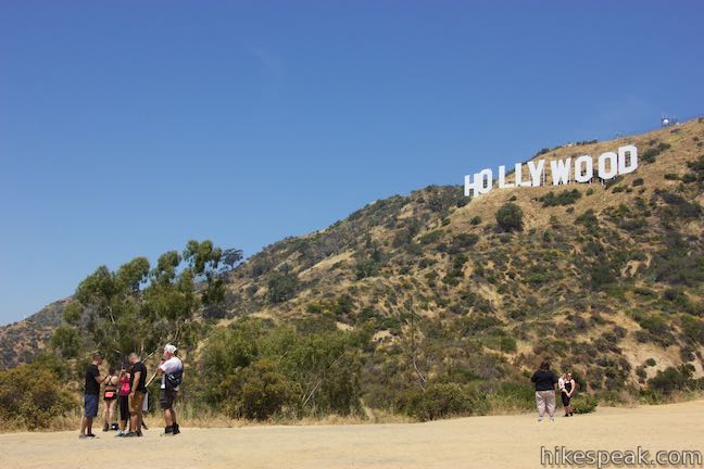 Hollywood Sign View