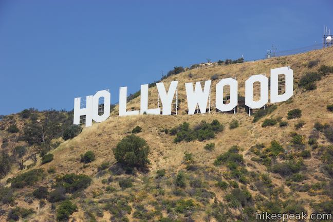 Hollywood Sign View